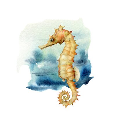 Fotobehang Aquarel zeepaardje