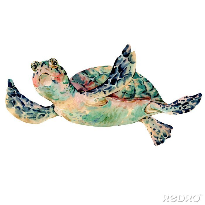 Fotobehang Aquarel zeeschildpad
