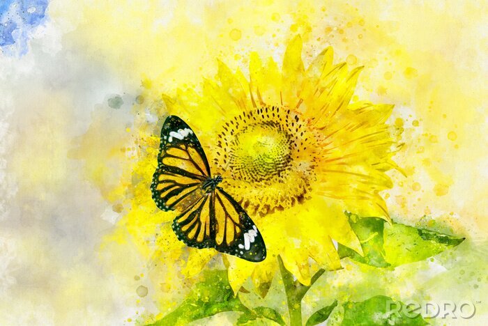 Fotobehang Aquarel zonnebloem en vlinder