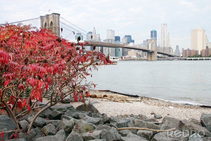 Fotobehang Architectuur van New York vanuit kikkerperspectief