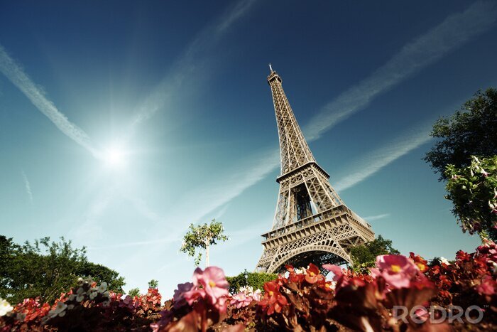 Fotobehang Architectuur vanuit kikkerperspectief