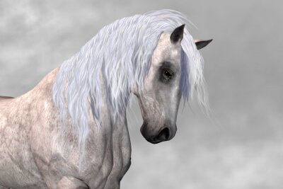 Fotobehang Aristocratisch paard in grafische stijl