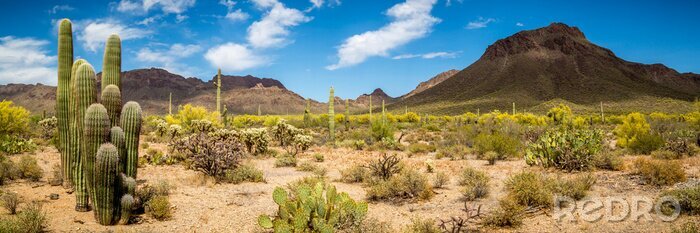 Fotobehang Arizona Landschap van de woestijn