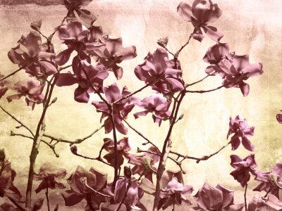Fotobehang Artistieke achtergrond met magnolia