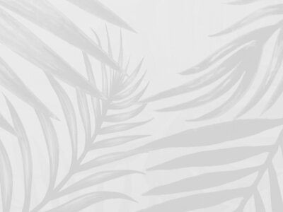 Fotobehang Ash schaduw van palmbladeren