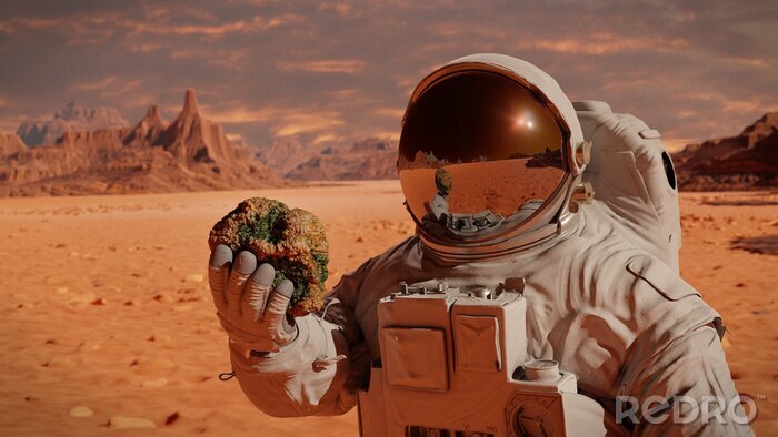 Fotobehang Astronaut op Mars