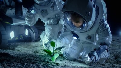 Fotobehang Astronauten met een plant