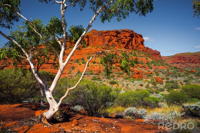 Fotobehang Aussie Outback