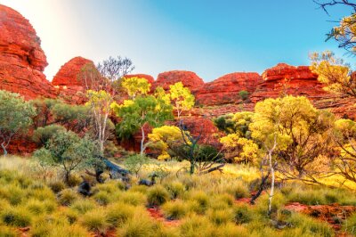 Australië Outback