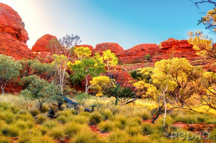 Fotobehang Australië Outback