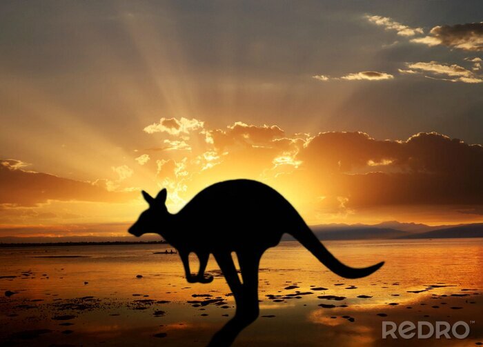 Fotobehang Australisch dier op de achtergrond van de zon