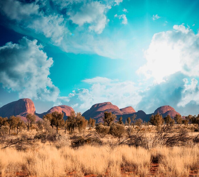 Fotobehang Australisch landschap tegen een blauwe lucht
