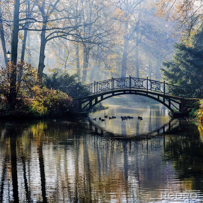 Fotobehang Autumn - Oude brug in het najaar mistige park