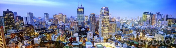 Fotobehang Avond skyline van Tokyo