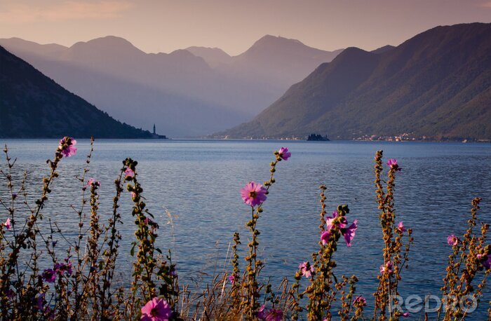 Fotobehang Baai van Kotor in de ochtend. Montenegro