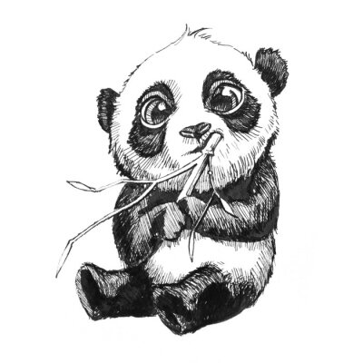 Baby panda met bamboe