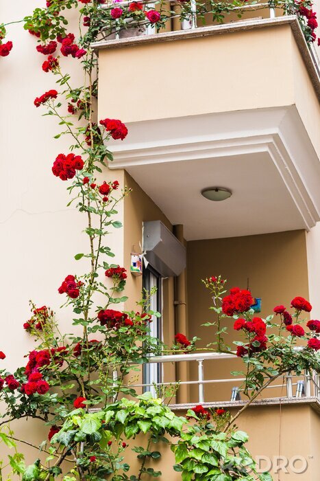 Fotobehang balkon met rozen