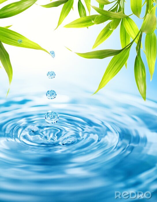 Fotobehang Bamboe bladeren en blauw water