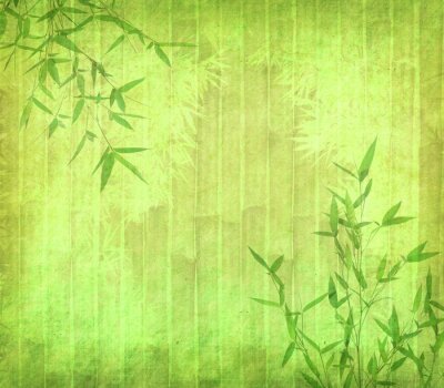 Fotobehang Bamboe bladeren op textuur