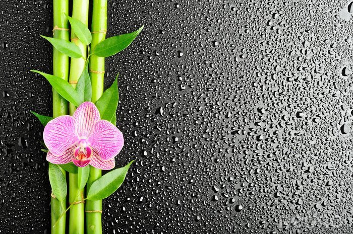 Fotobehang Bamboe en orchidee op zwarte achtergrond