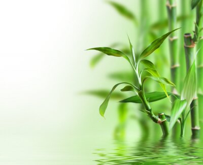 Fotobehang Bamboe en water