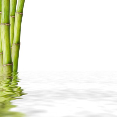 Fotobehang Bamboe in water