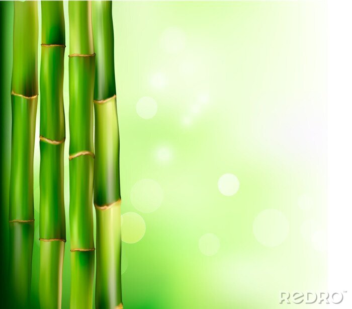 Fotobehang Bamboe op groene abstracte achtergrond