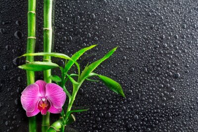 Fotobehang Bamboe orchidee en druppels op zwart glas