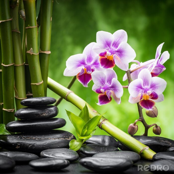 Fotobehang Bamboe stenen en orchideeën