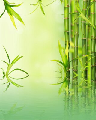Fotobehang Bamboeplanten op groene achtergrond