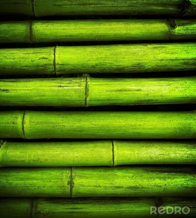 Fotobehang Bamboescheuten horizontale