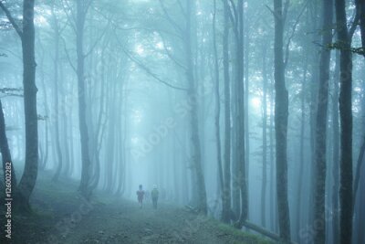 Fotobehang Bas-reliëfs op de kerk