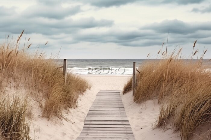 Fotobehang Beach access wooden pathway of a sea in sand dunes with ocean