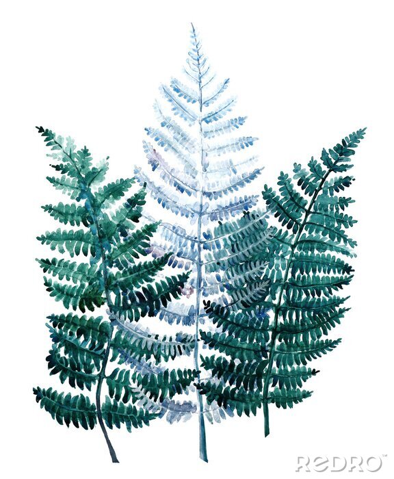 Fotobehang Beautiful watercolor tropical leaves painted on white paper, top view