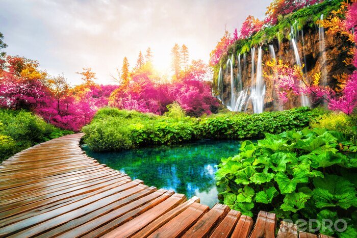 Fotobehang Beautiful wooden path in Plitvice Lake, Croatia.