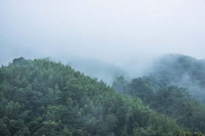 Fotobehang Beboste bergen in de mist