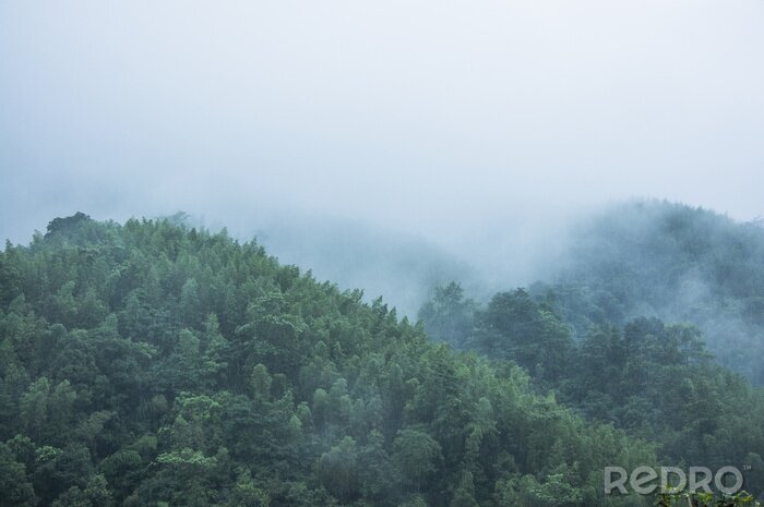 Fotobehang Beboste bergen in de mist