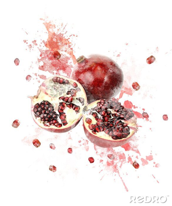 Fotobehang Beeld van de Waterverf van de granaatappel