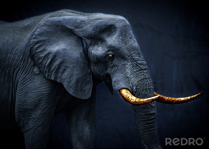 Fotobehang Beeld van een olifant in fantasy stijl