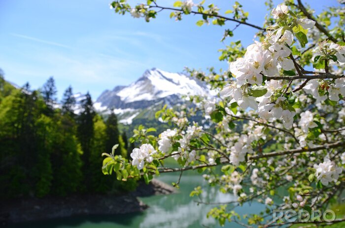 Fotobehang Berg natuur