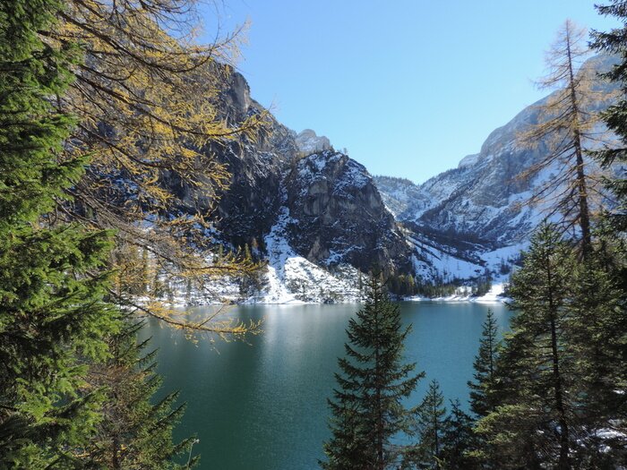 Fotobehang Bergen van achter de bomen
