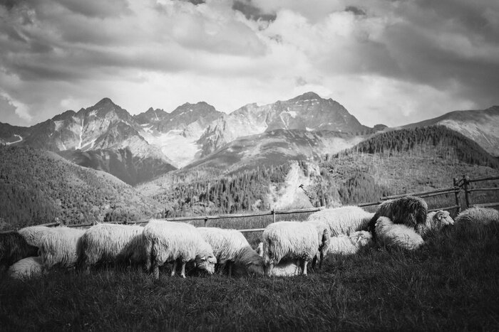 Fotobehang Bergen zwart-wit panorama