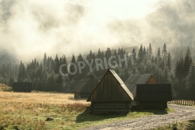 Fotobehang Berghutjes tegen de achtergrond van een bos