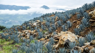 Fotobehang Berglandschap in Mexico