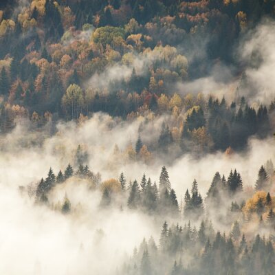 Fotobehang Bergnatuur in de herfst