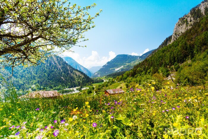 Fotobehang Bergweide en uitzicht