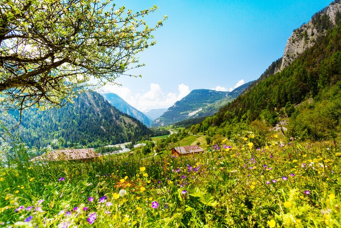 Fotobehang Bergweide en uitzicht