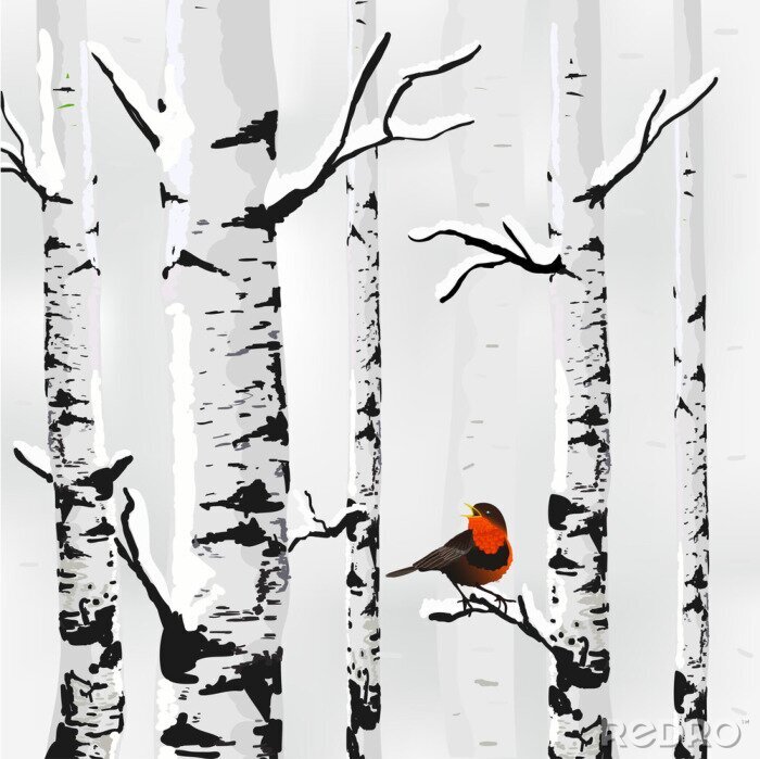 Fotobehang Berk in de sneeuw en een vogel