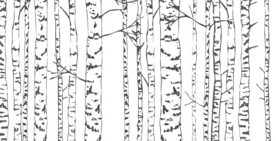 Fotobehang Berken bomen schets