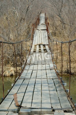 Fotobehang Beschadigde brug in een herfstbos